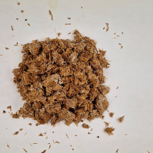 Blauwplaatstropharia broed: zaagselbroed doorgroeid met wit mycelium