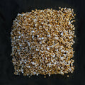 Brut des japanischen Bündelpilzes (Nameko) – 80 Gramm